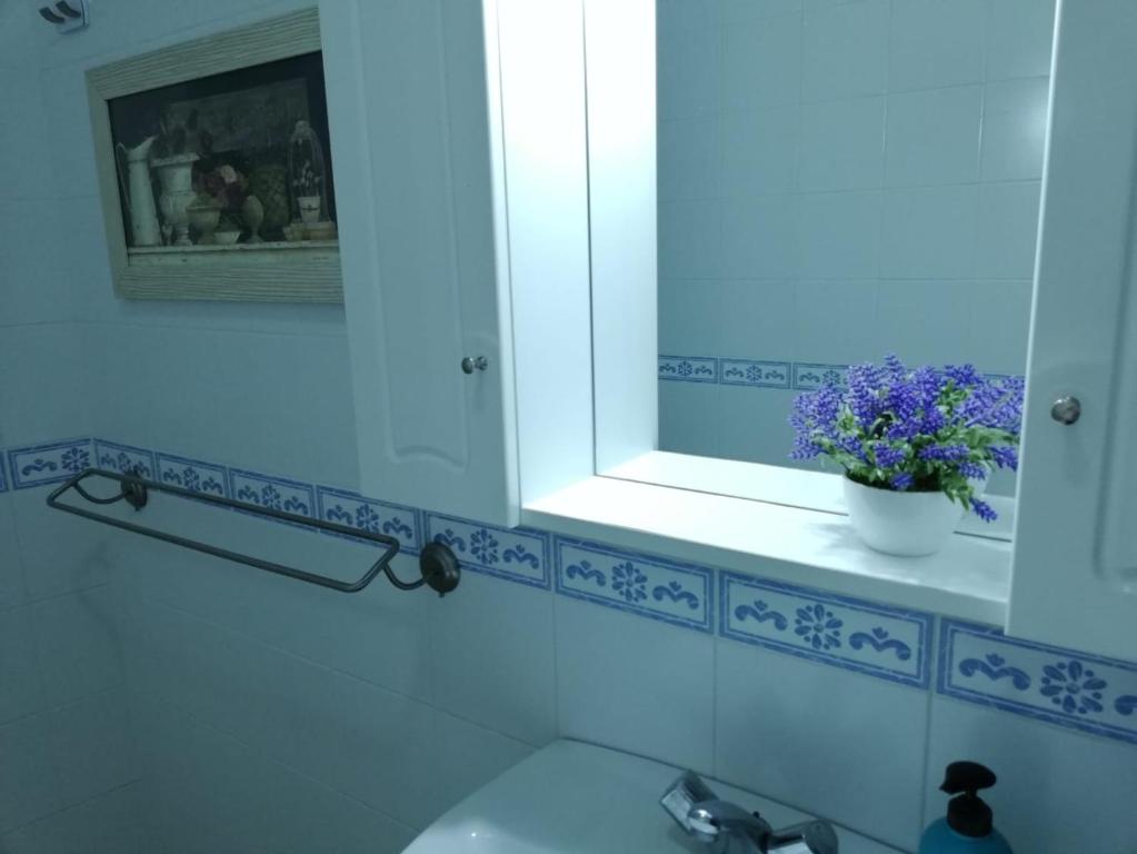 a bathroom with a sink and a mirror and a plant at Miguelangelo in Los Llanos de Aridane