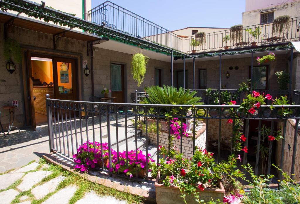Zahrada ubytování Hotel Pace