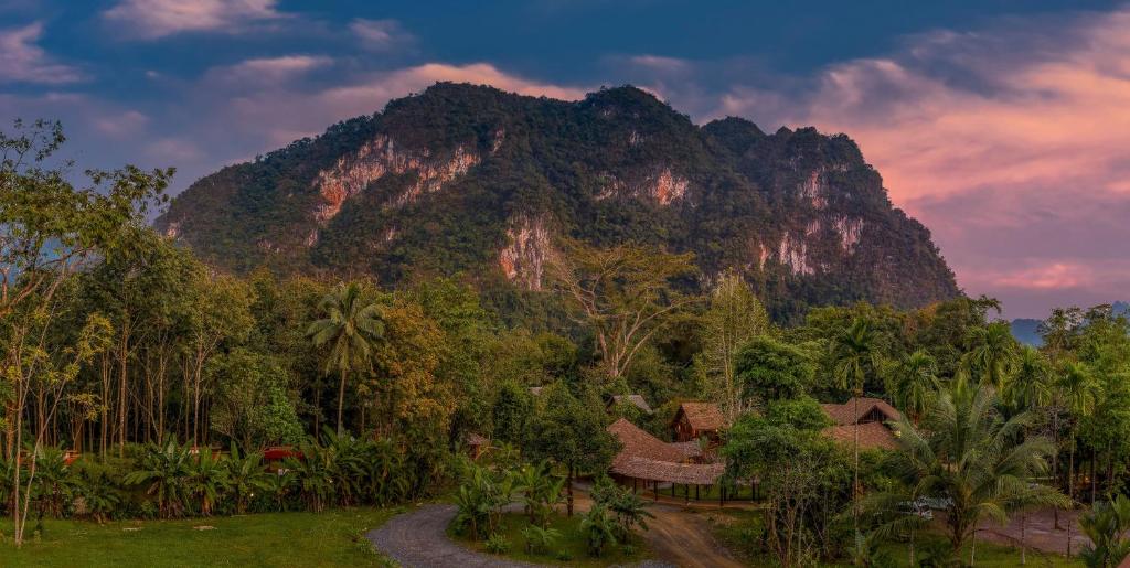 Our Jungle Camp - Eco Resort, Parque Nacional de Khao Sok – Preços  atualizados 2023