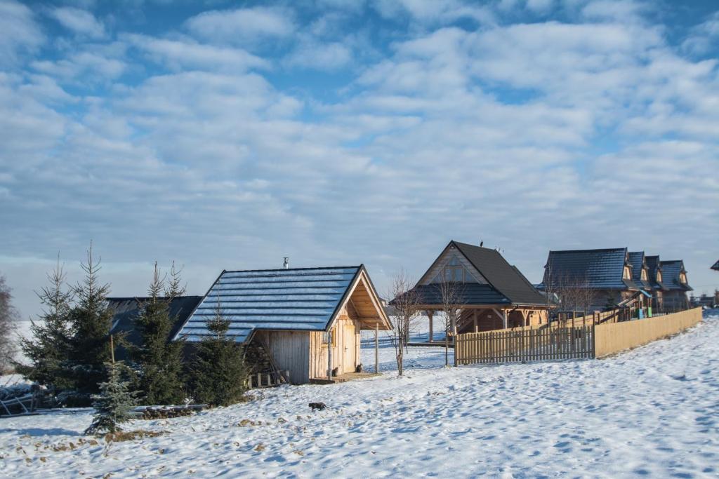 Bańska NiżnaにあるDomki z Duszaの雪中の木造家屋群