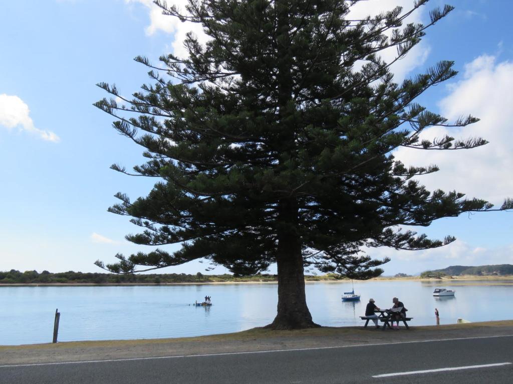 Pohutukawa Bach - Resim 23