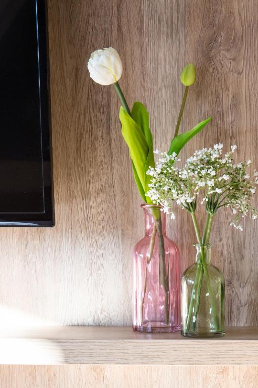 Hotel Wilms - Resim 38