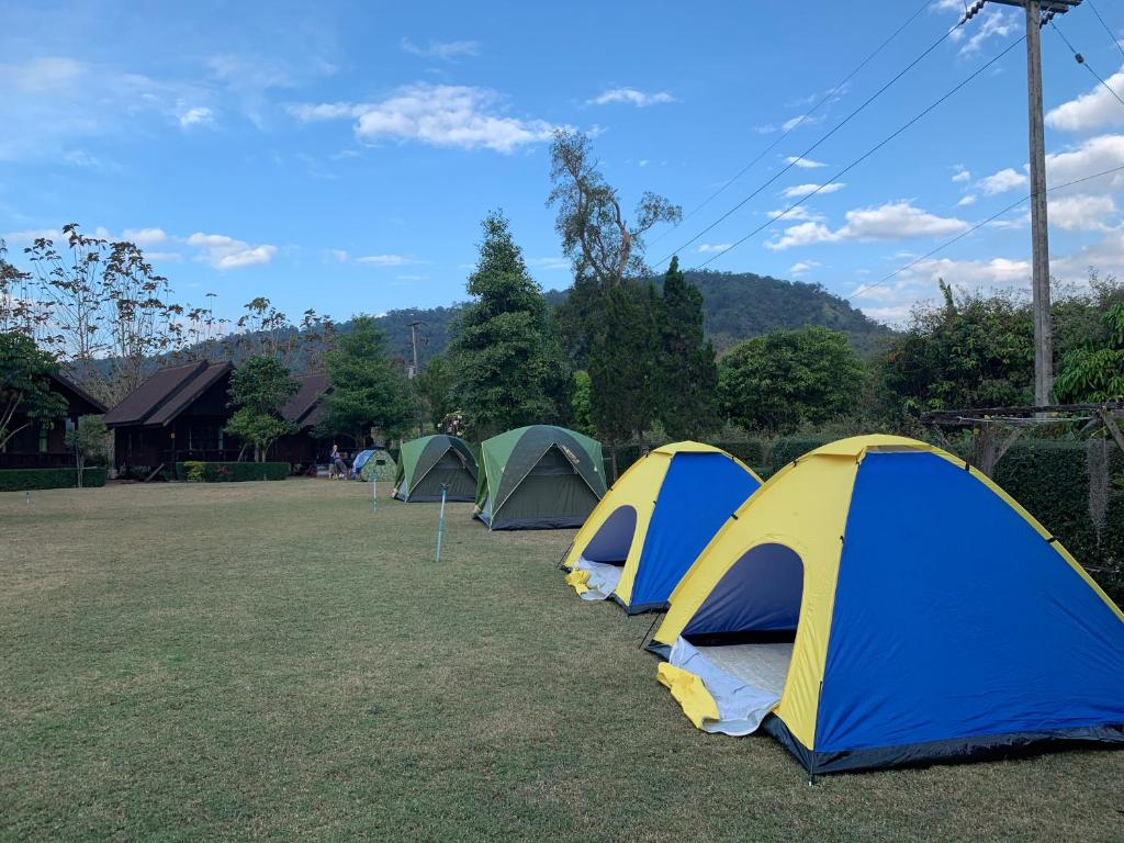 Baan MaiKhiangPhu Wang Nam Khiao - Carpa