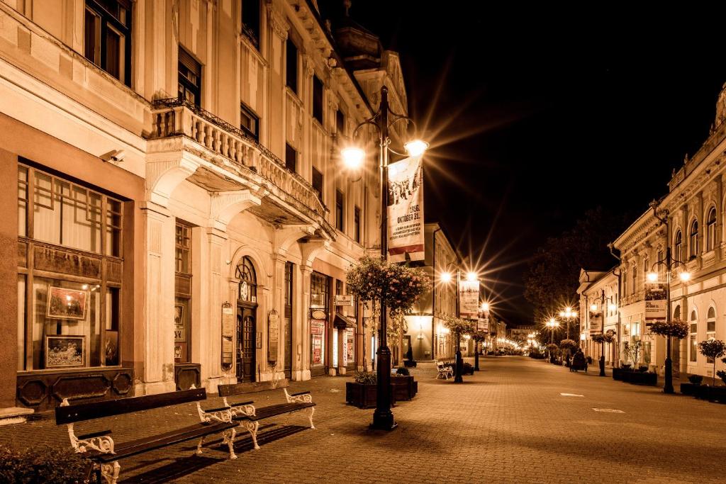 uma rua da cidade à noite com bancos e luzes de rua em Anker Apartman Kaposvár em Kaposvár