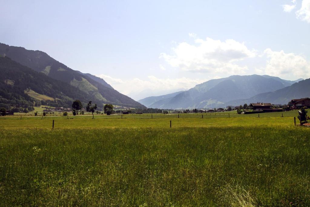 Príroda v okolí apartmánu