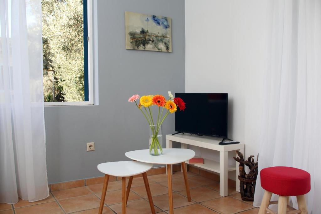 Televízia a/alebo spoločenská miestnosť v ubytovaní Pamar Village