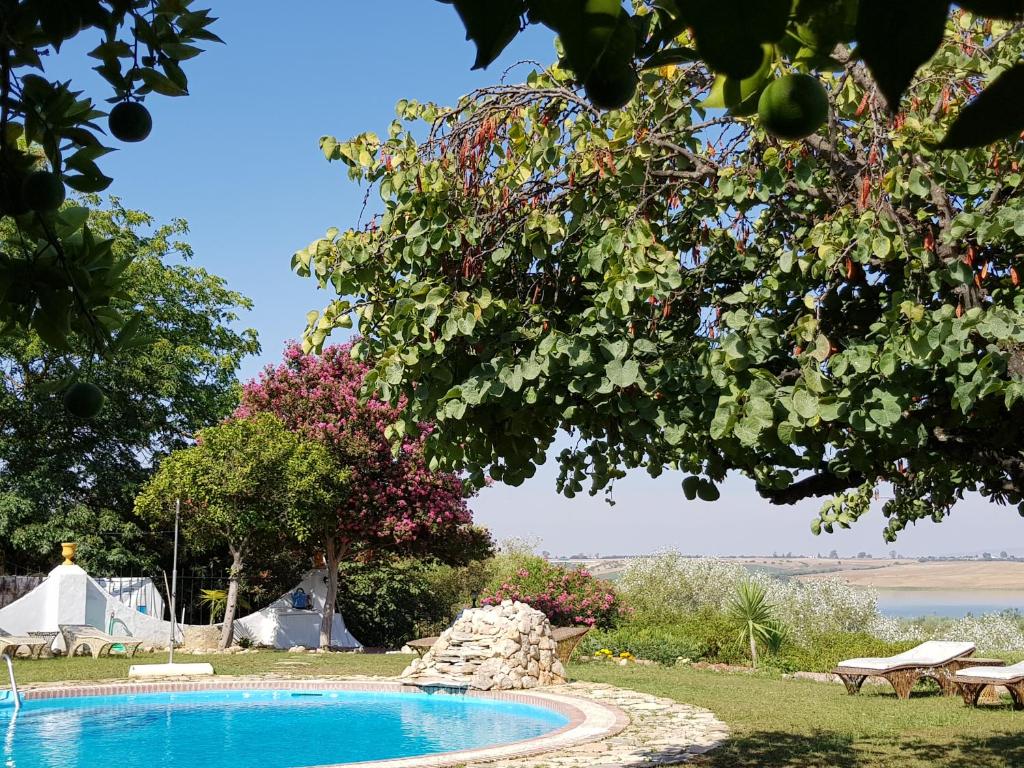a swimming pool in a yard with tents in the background at Hacienda el Santiscal in Arcos de la Frontera