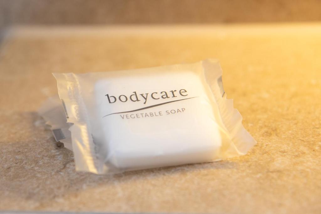 Zurich Furnished Homes - Resim 7