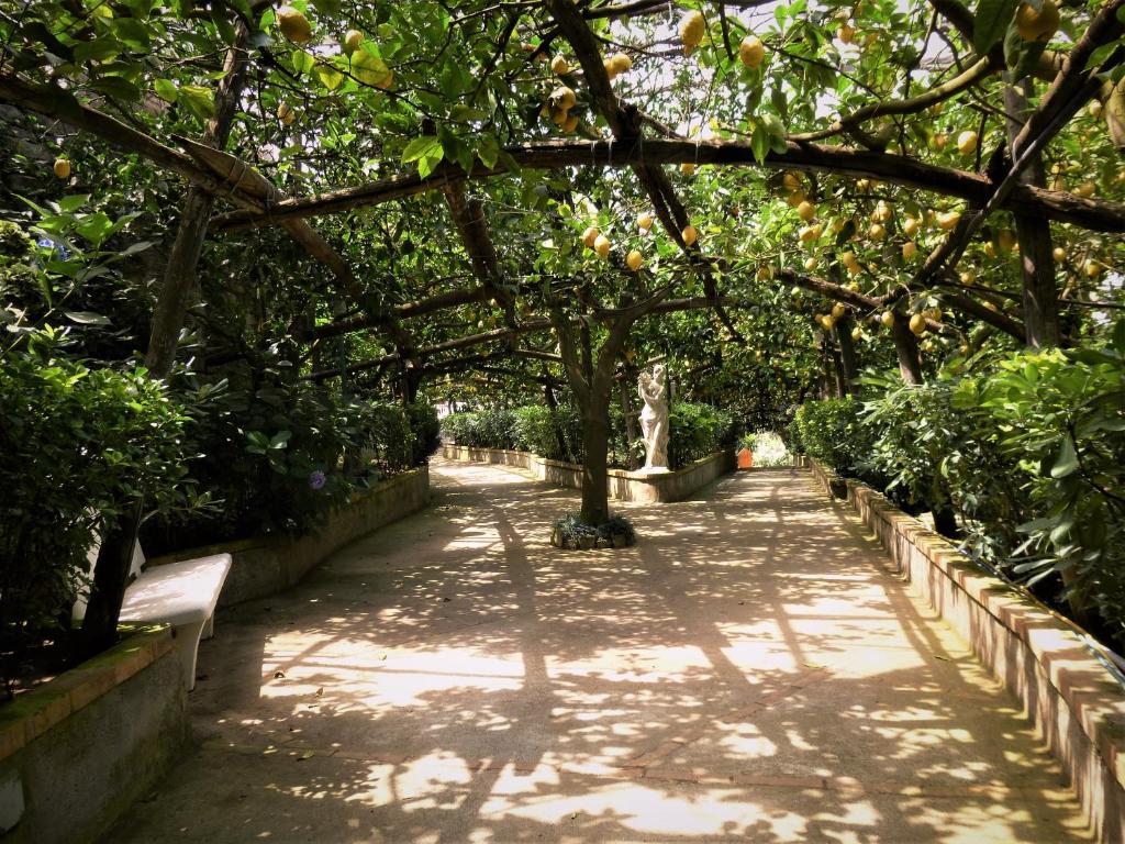 A garden outside casa dei limoni