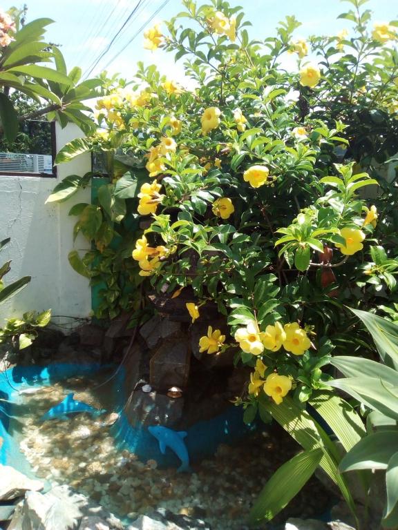  Residencial Susy