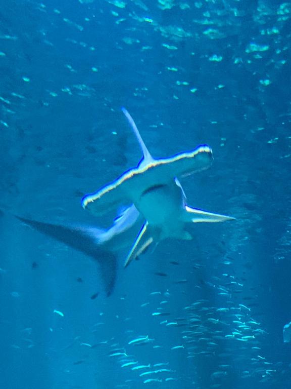 Appartement de 100m² bien situé - アパート