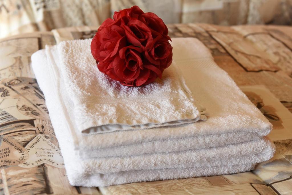una rosa rossa seduta su un mucchio di asciugamani di Welcome Garden a Romano di Lombardia