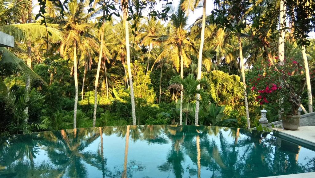 a swimming pool with palm trees in the background at Villa Dua Hati in Ubud