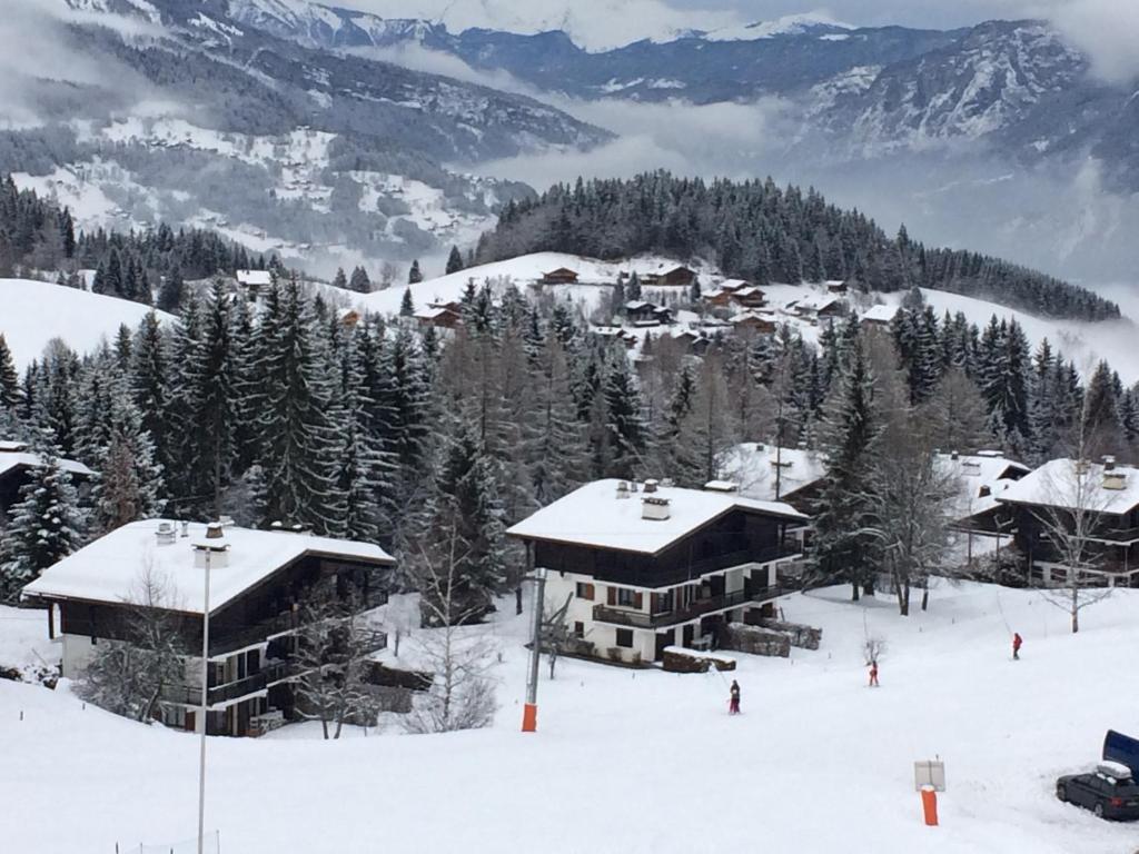 Orée des pistes v zimě