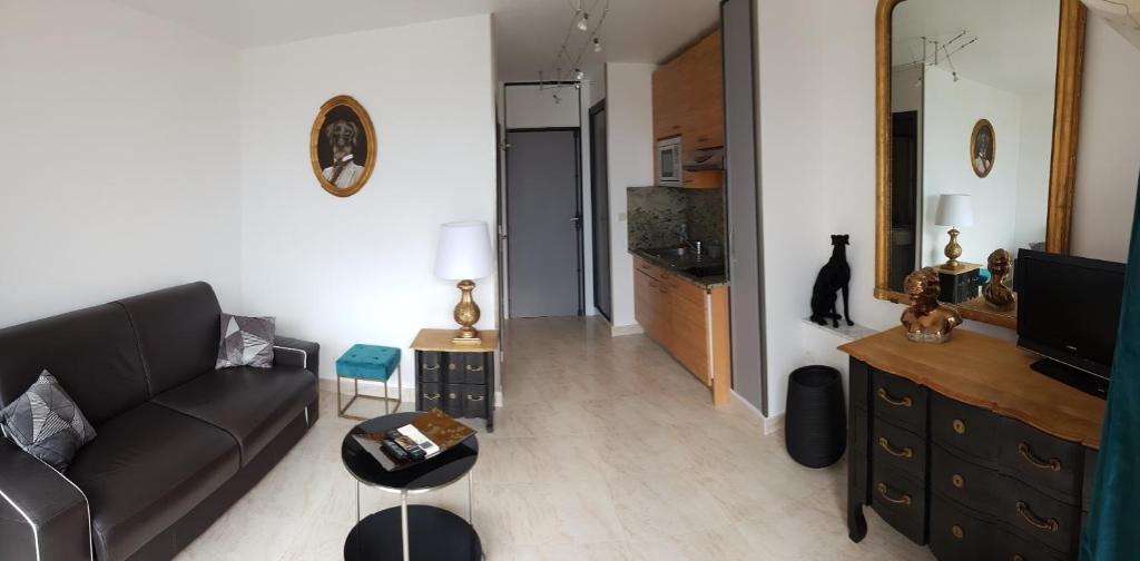 a living room with a couch and a television at Heliopolis in Cap d'Agde