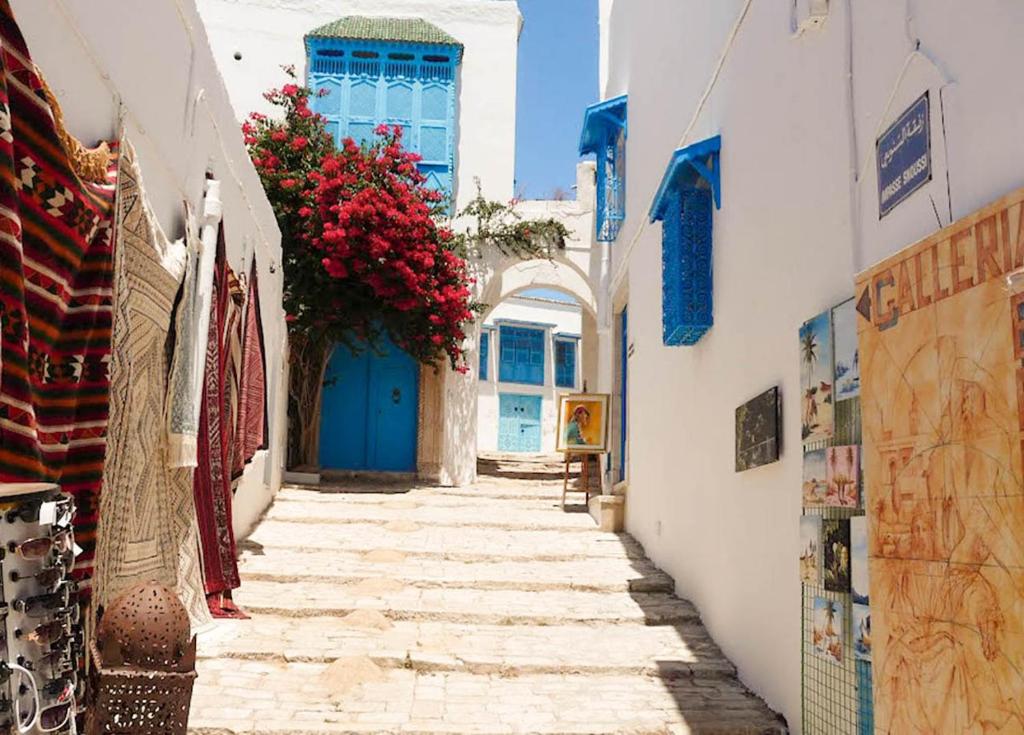 Cosy S3 Apartment Sidi Bou Said Village シディ ブ サイド 22年 最新料金