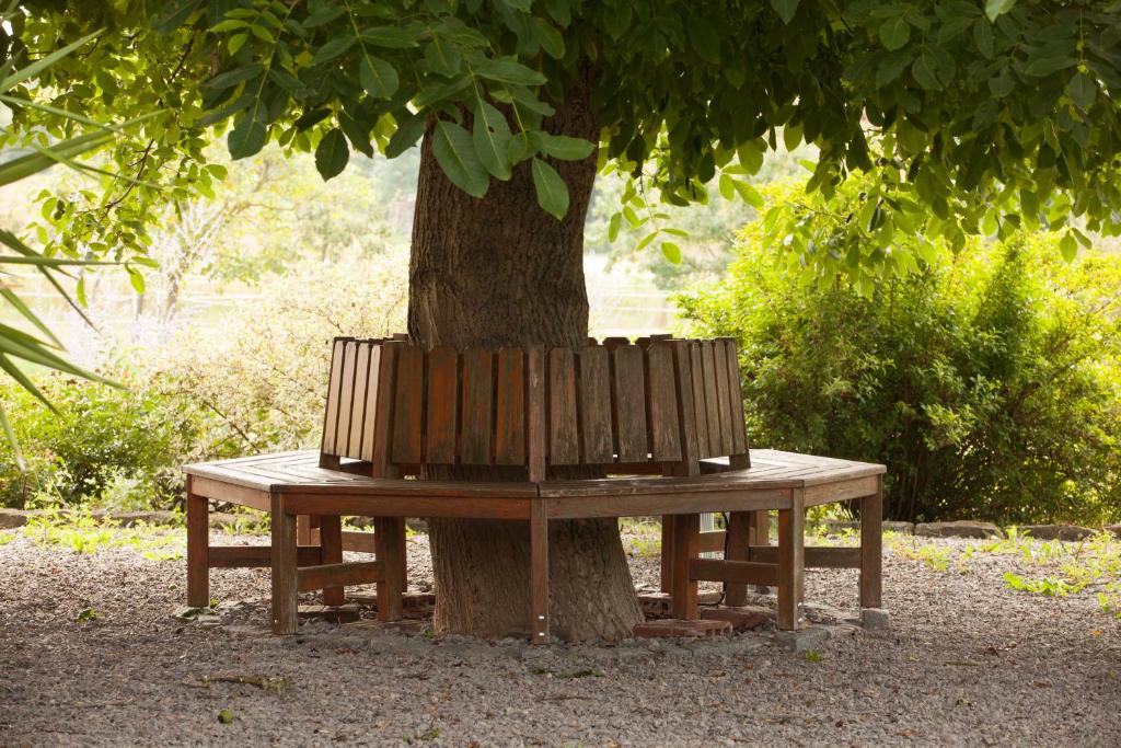 Zahrada ubytování Weinhof am Nussbaum