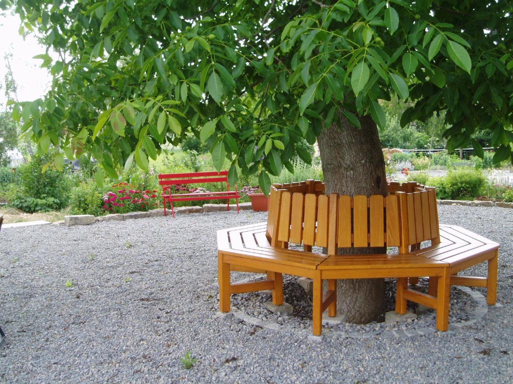 Zahrada ubytování Weinhof am Nussbaum