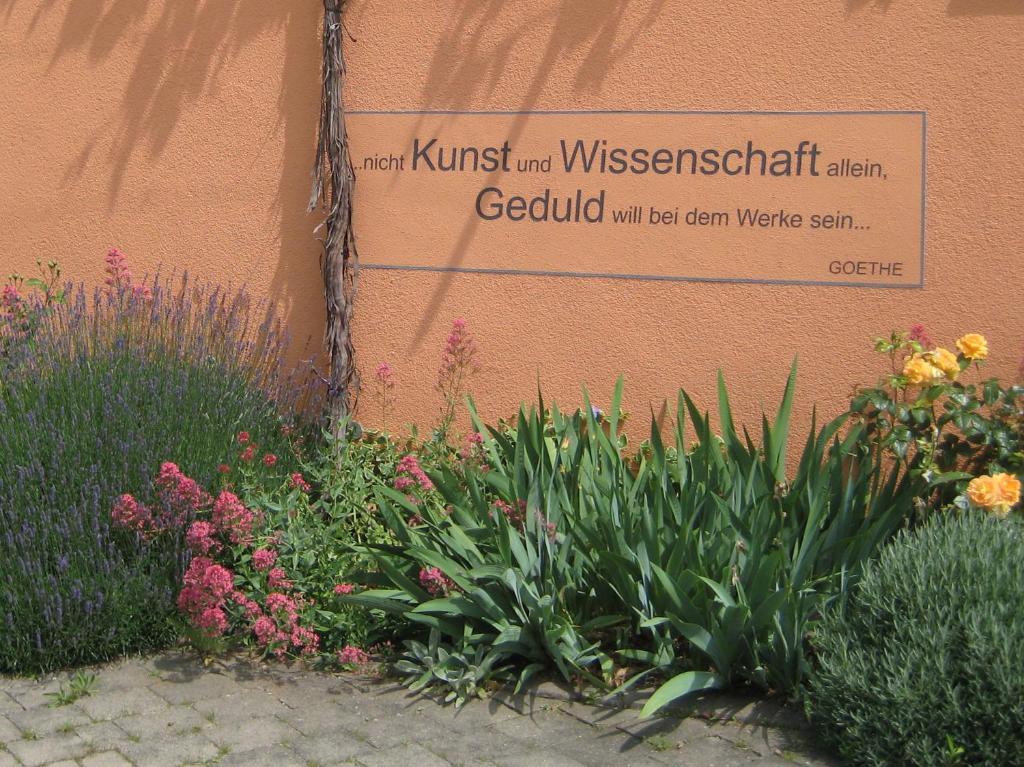 Zahrada ubytování Weinhof am Nussbaum