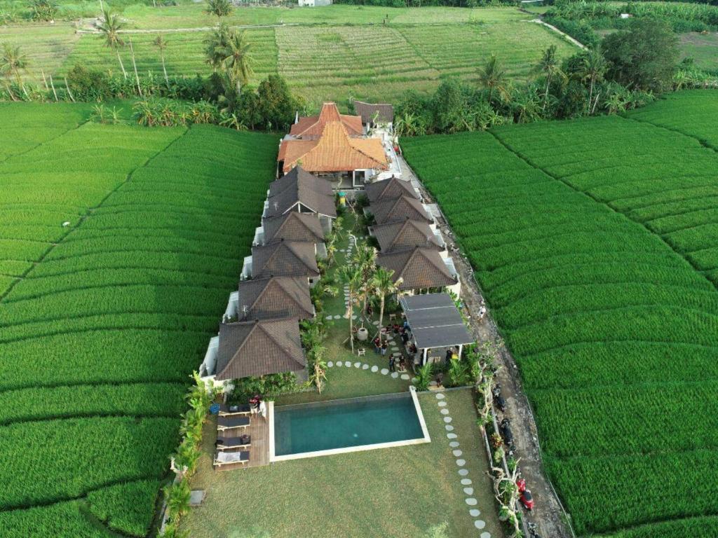 an aerial view of a house in a rice field at Villa Alisha Pererenan Canggu in Canggu