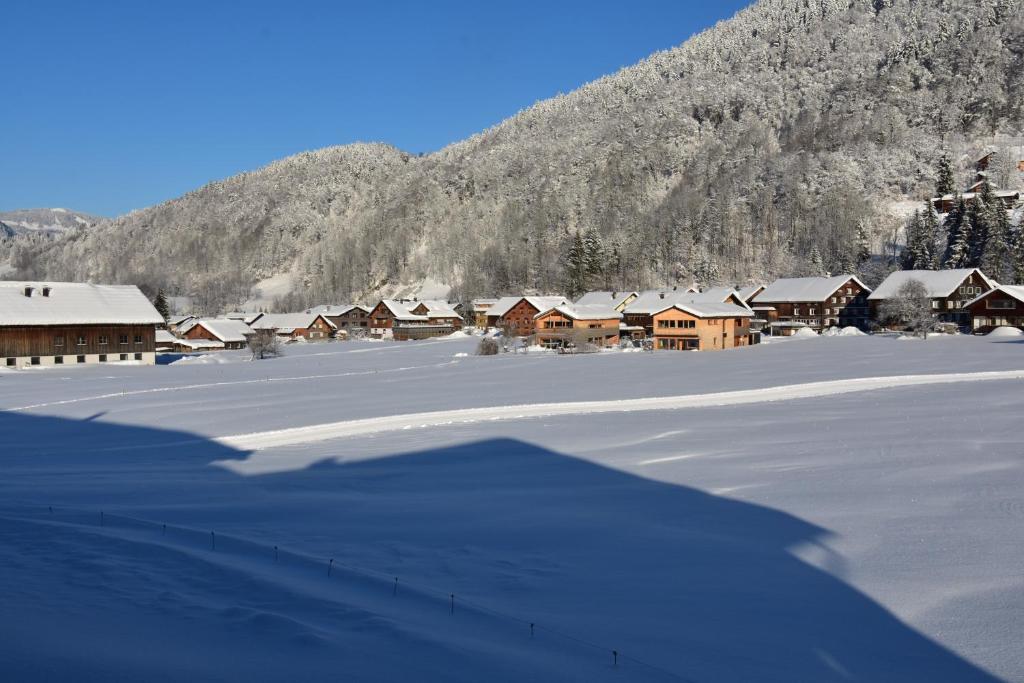 ein schneebedecktes Dorf mit einem Berg im Hintergrund in der Unterkunft kirchdorf 300 in Bizau