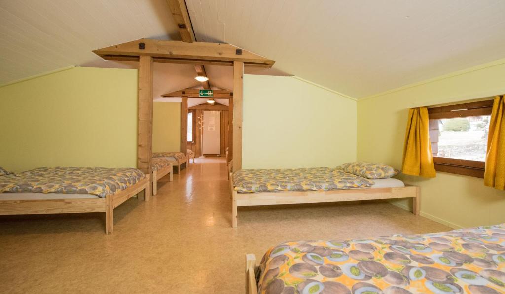 Schutzenbach Backpackers For Adults 18-32 years only photo