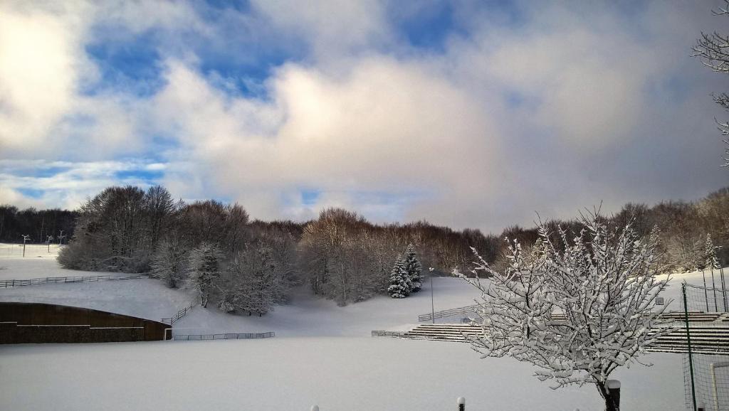 Guesthouse Bor Plitvice Lakes v zime