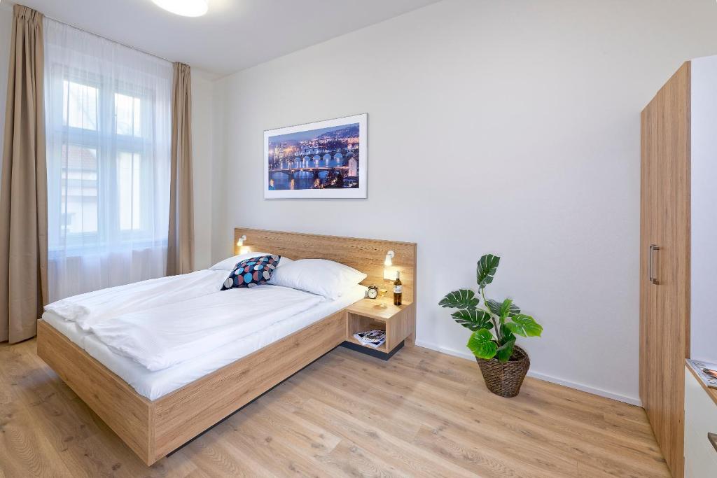 DownTown Suites Jugoslavska - 8