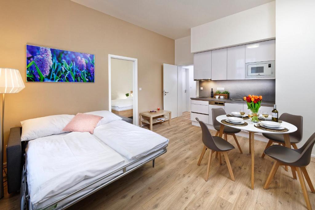 DownTown Suites Jugoslavska - 4