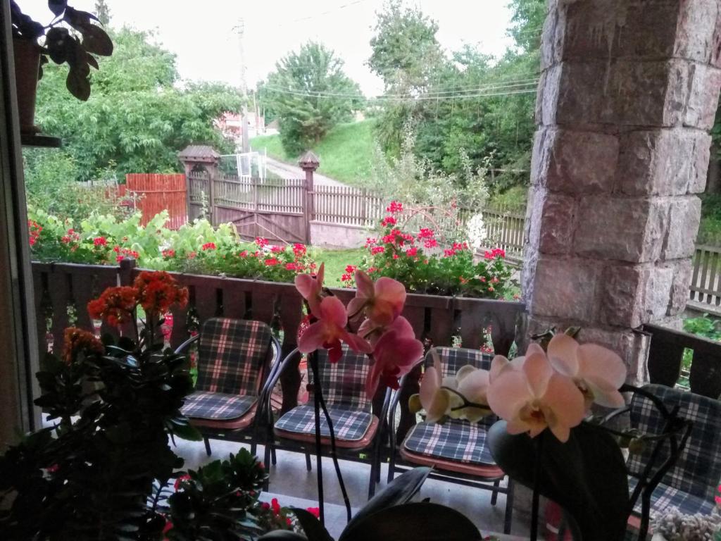 Zahrada ubytování PENSIUNEA BORDÁS PANZIÓ