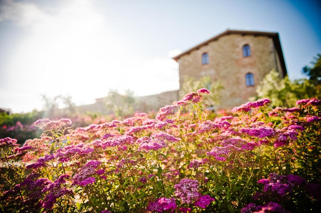 Zahrada ubytování Borgo Dei Conti Resort Relais & Chateaux