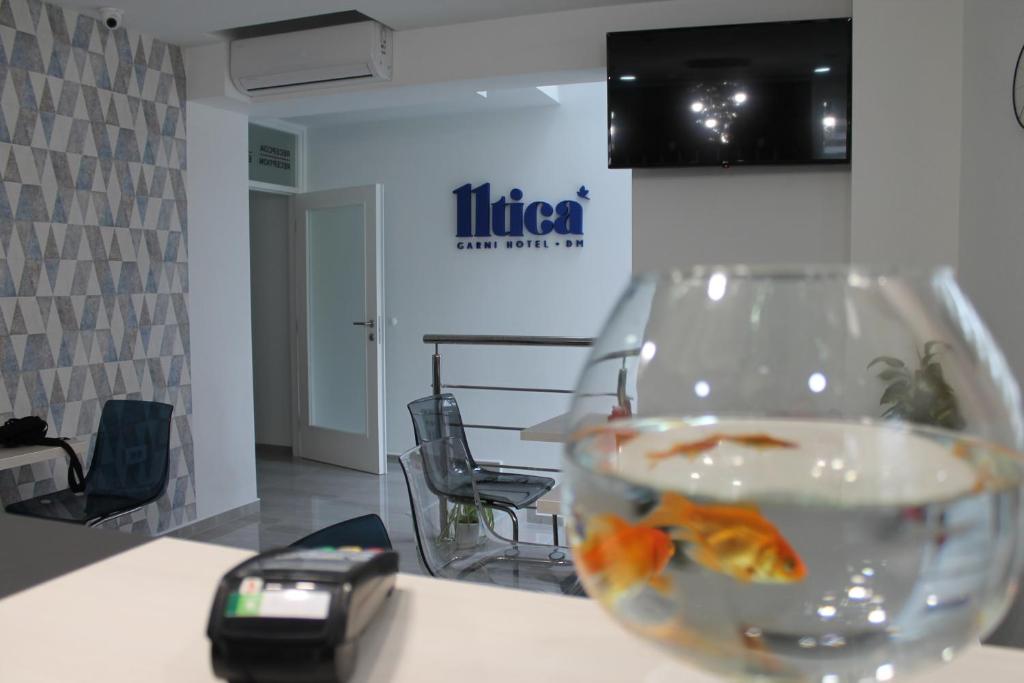 Nápoje v ubytování Garni Hotel 11tica DM