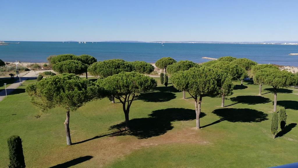 una vista aérea de un parque con árboles y agua en Rêve bleu, en Le Grau-du-Roi