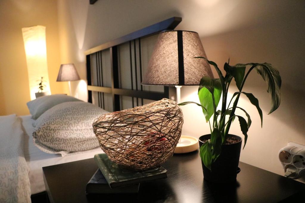 a bedroom with a table with a lamp and a plant at Wings Hostel in Kazan