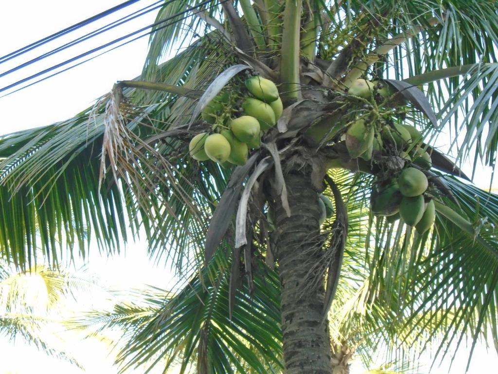  Apartamento em Praia Grande - Frente ao Mar