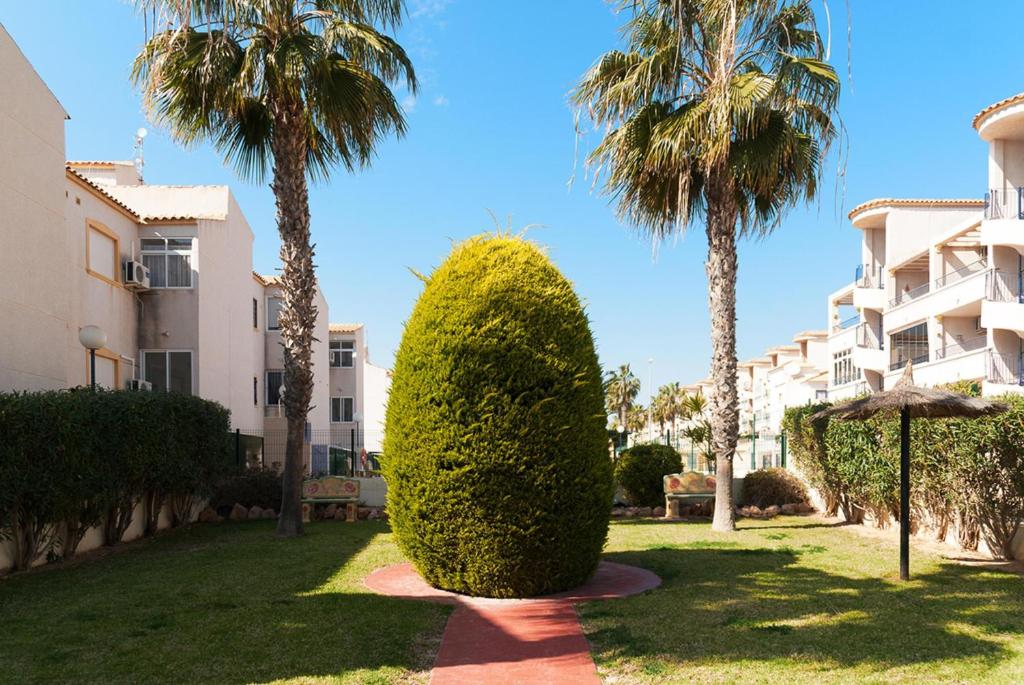 La cinuelica 3001, Playas de Orihuela – Updated 2023 Prices