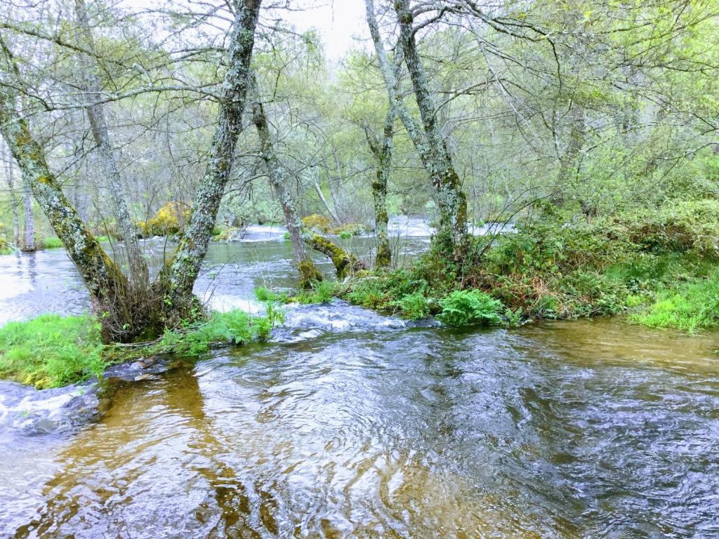 Příroda nedaleko apartmánu