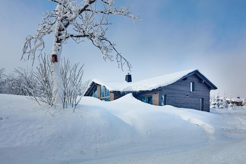 ein schneebedecktes Haus neben einem Schneehaufen in der Unterkunft Beerenhaus in Kurort Altenberg