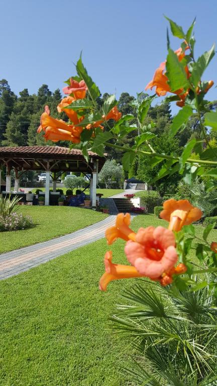 Vonkajšia záhrada v ubytovaní SUN RESIDENCE Exclusive Seaside Suites