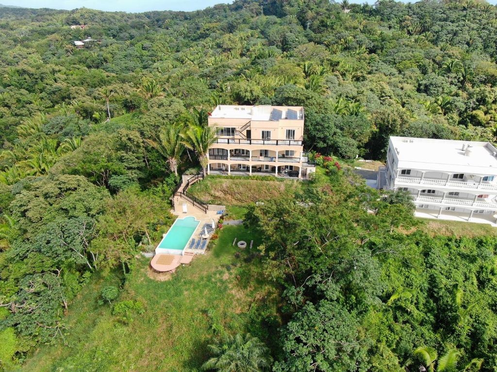 an aerial view of a house in the forest at SeaScape Roatan in West End