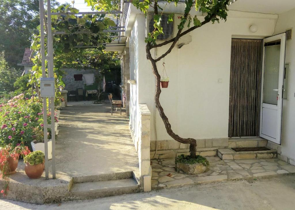 Fotografie z fotogalerie ubytování Apartmani Bosco v destinaci Tivat