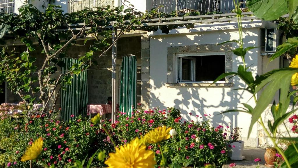 Zahrada ubytování Apartmani Bosco