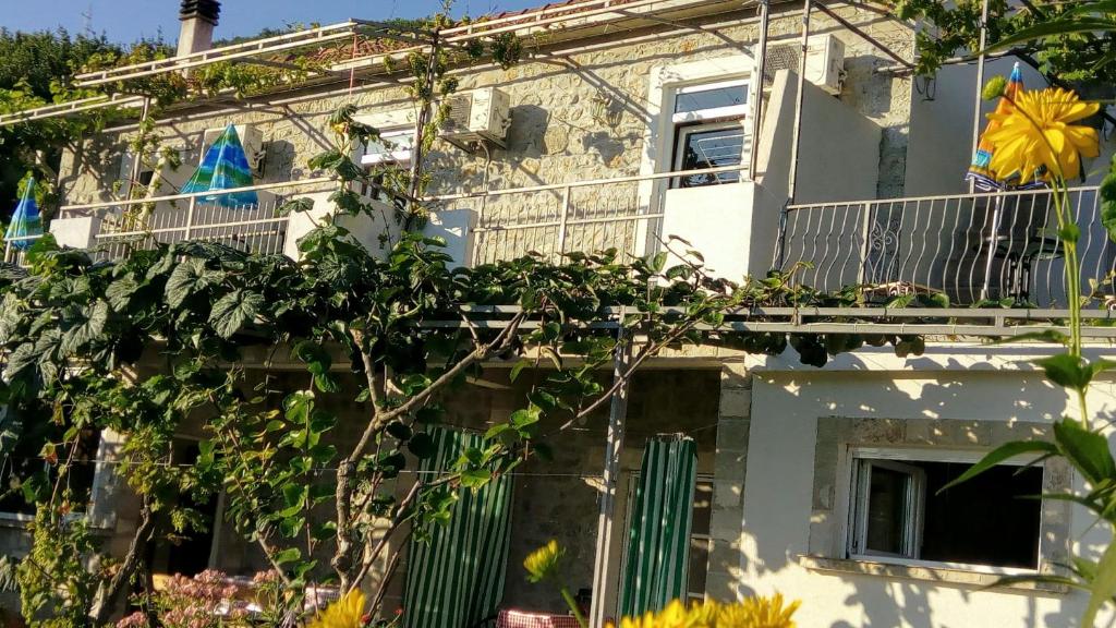 Budova, kde se apartmán nachází
