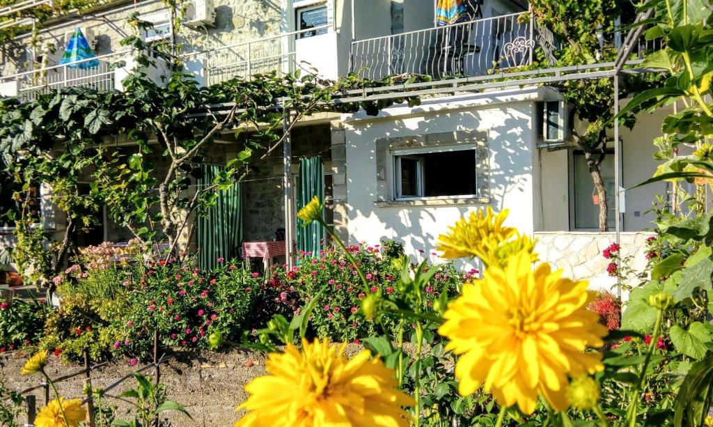 Zahrada ubytování Apartmani Bosco