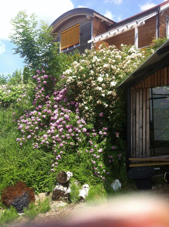 Zahrada ubytování Gästeapartement Schlossblick