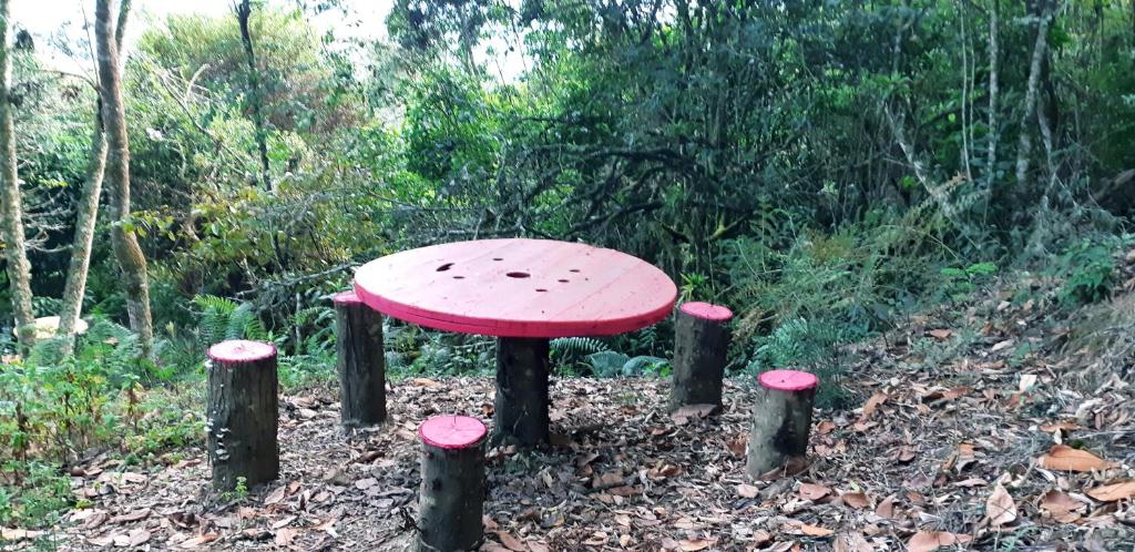 Zahrada ubytování Cabañas La Campiña Ubalá