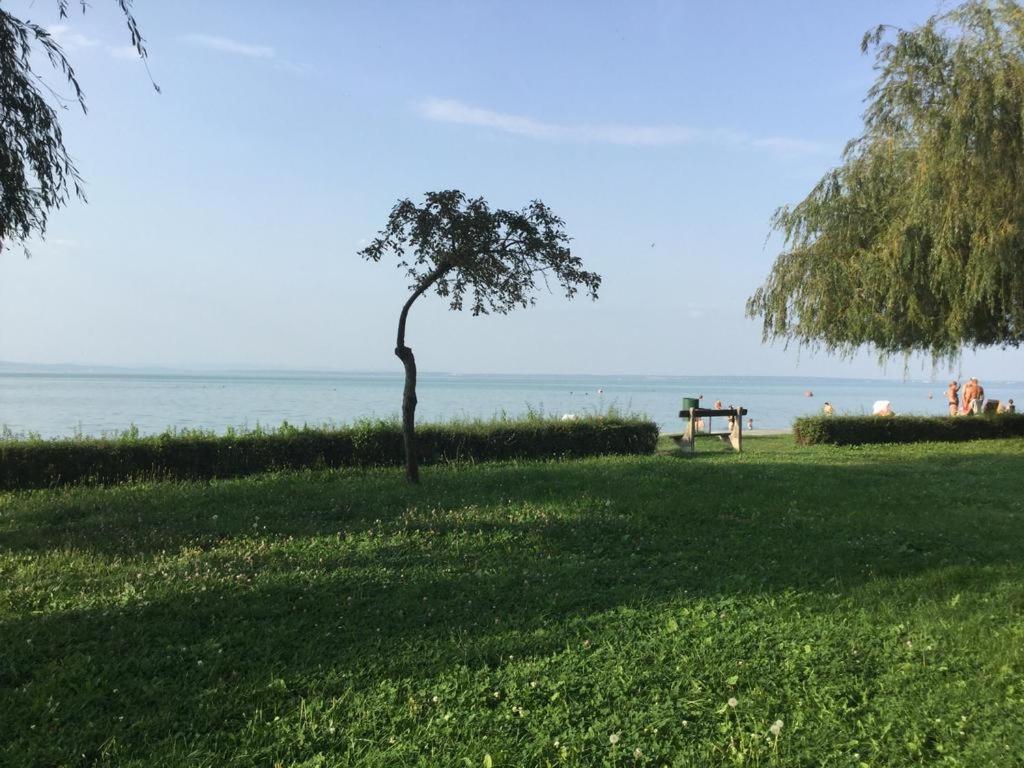 Táj az apartman közelében