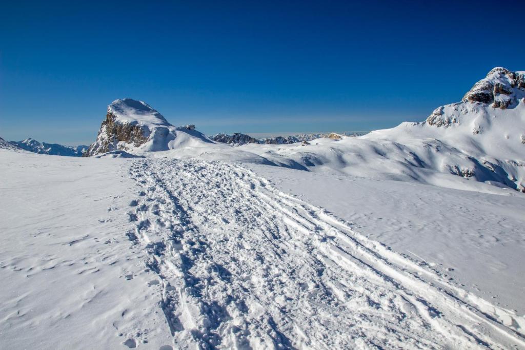 une montagne enneigée avec des empreintes de pieds dans la neige dans l'établissement Casa Gabriella, à Fiera di Primiero