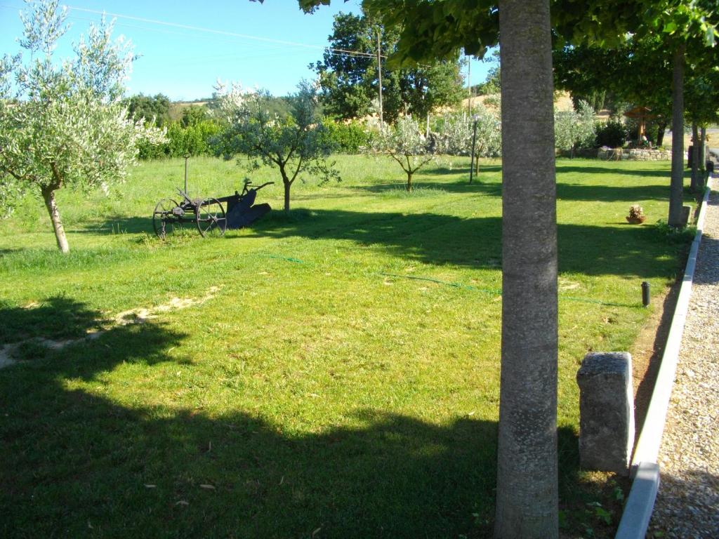 A garden outside Agriturismo Il Falco