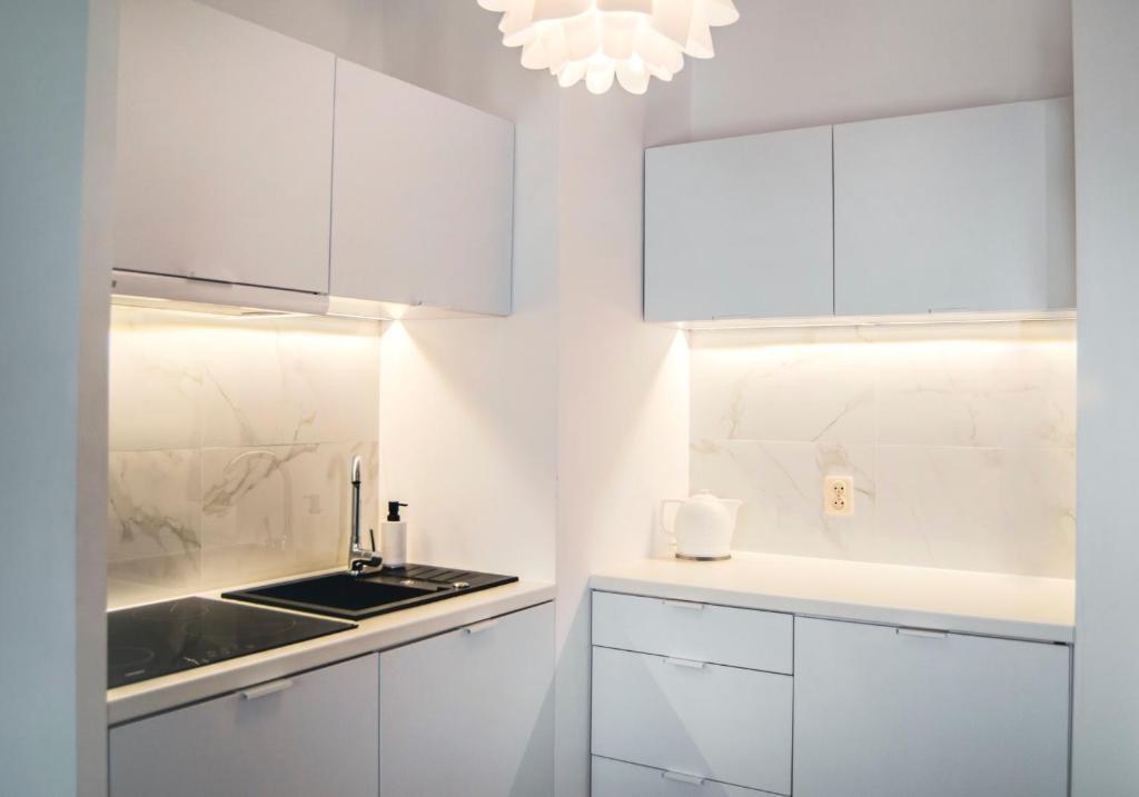 Kuchyňa alebo kuchynka v ubytovaní Apartamenty Rakowicka WAWELOFTS